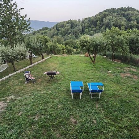 Vila Ella Villa Căpăţîneni-Ungureni Eksteriør bilde