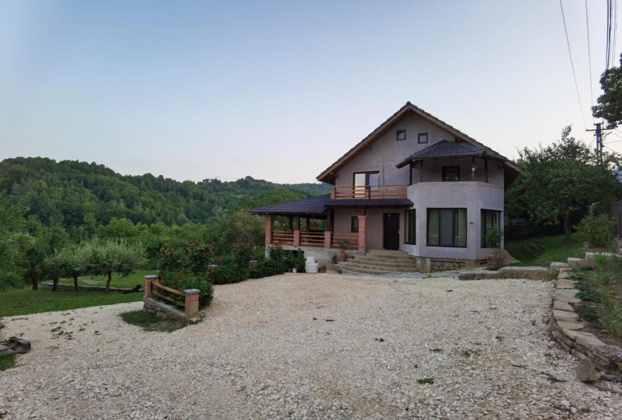 Vila Ella Villa Căpăţîneni-Ungureni Eksteriør bilde