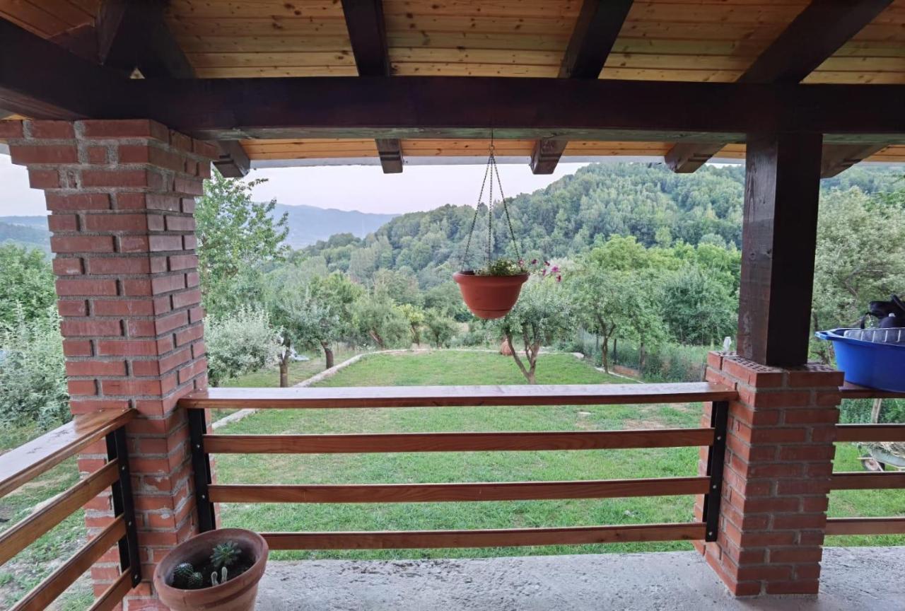 Vila Ella Villa Căpăţîneni-Ungureni Eksteriør bilde